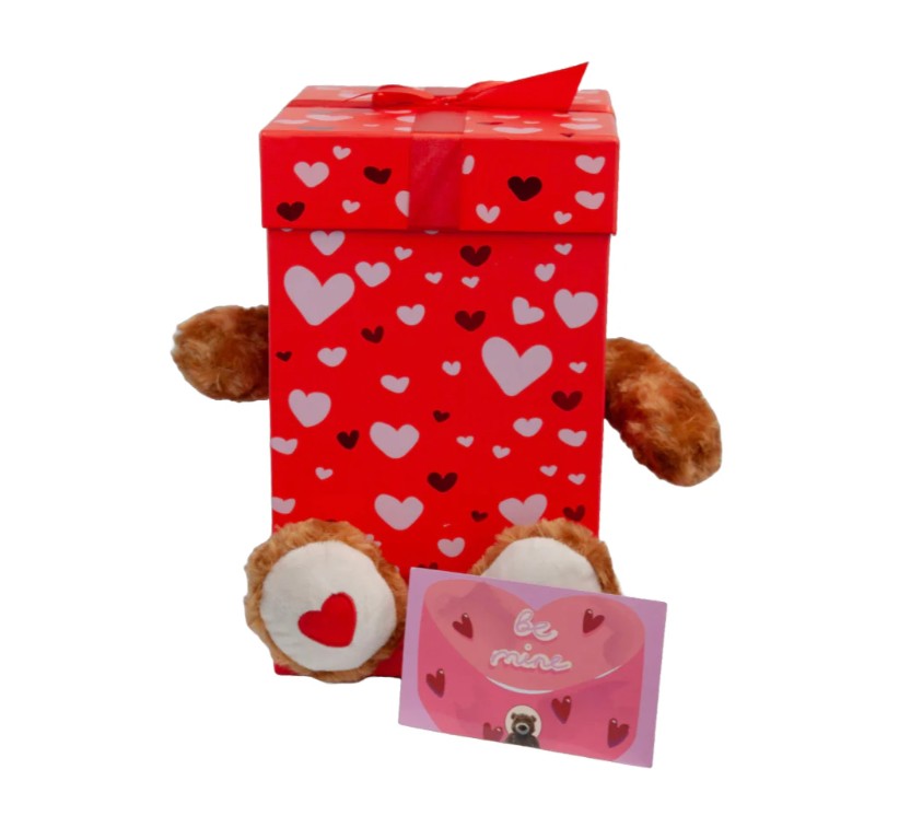 Large Boxed Teddy Bear ”Be Mine“ - The Bloom Room 