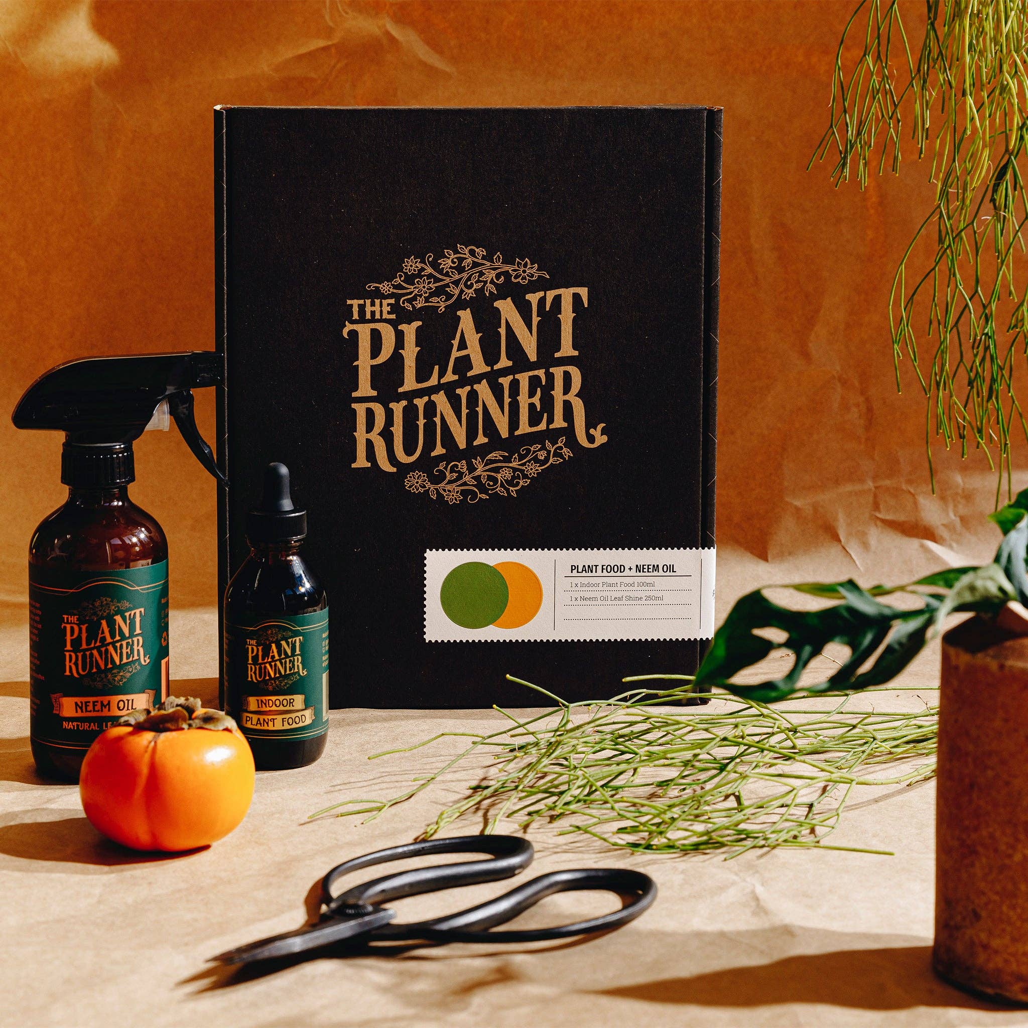 Plant Care Essentials Kit - The Bloom Room 