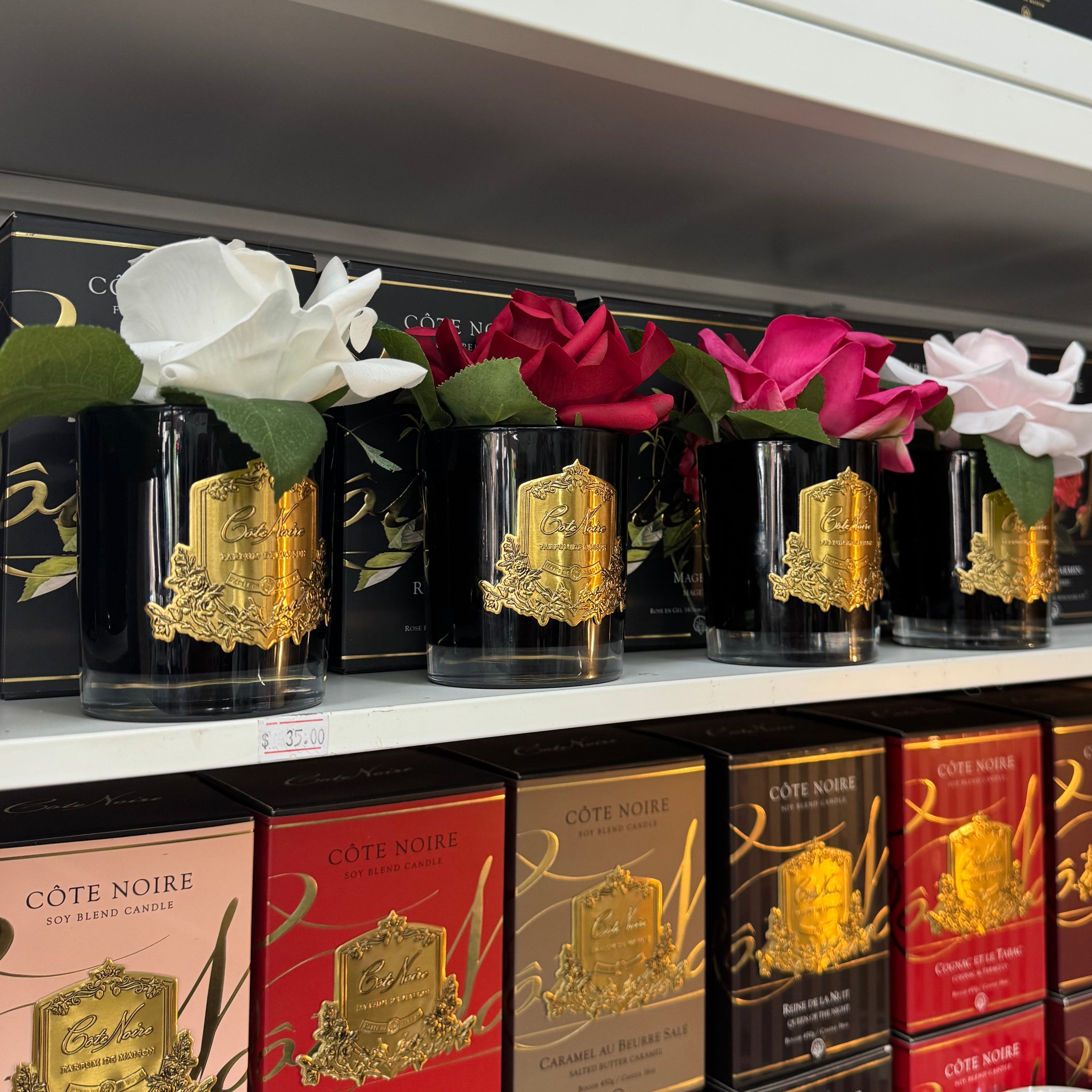 Cote Noire Single Rose Perfumed Diffuser - The Bloom Room 