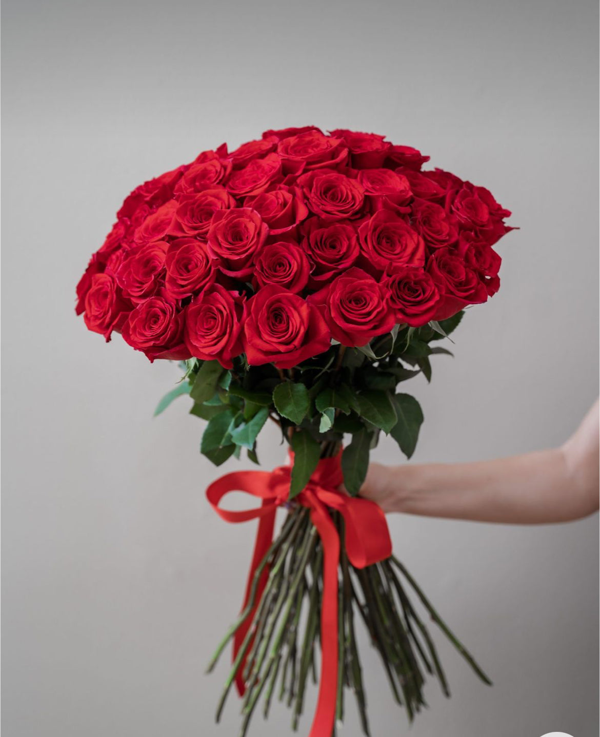 Premium Long Stem Roses - The Bloom Room 