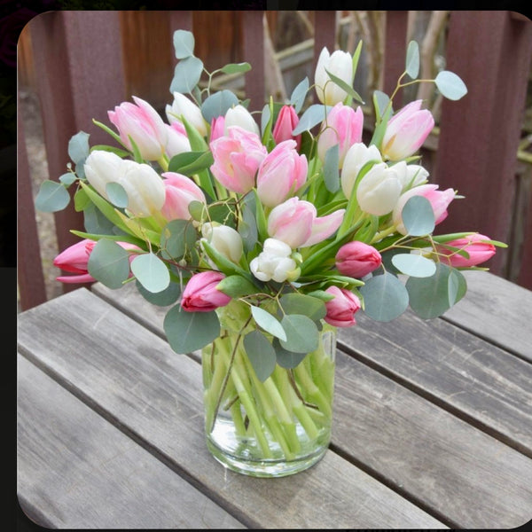 Tulip Garden