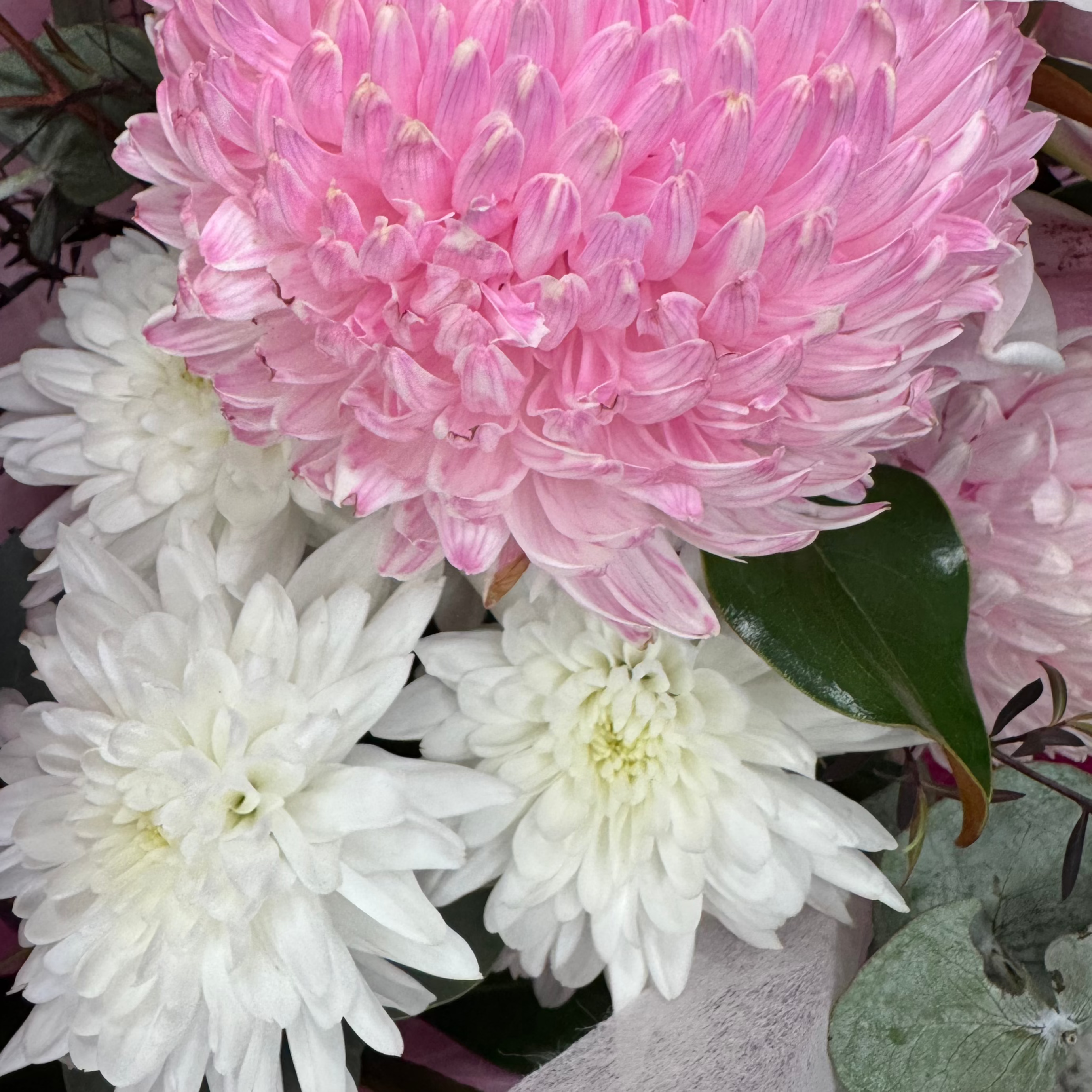 Mum's Bouquet ASSORTED - The Bloom Room 