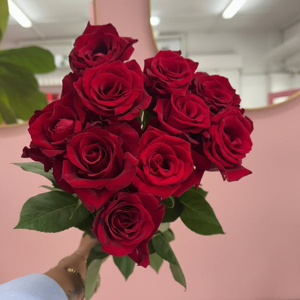 Valentine's Day Red Roses