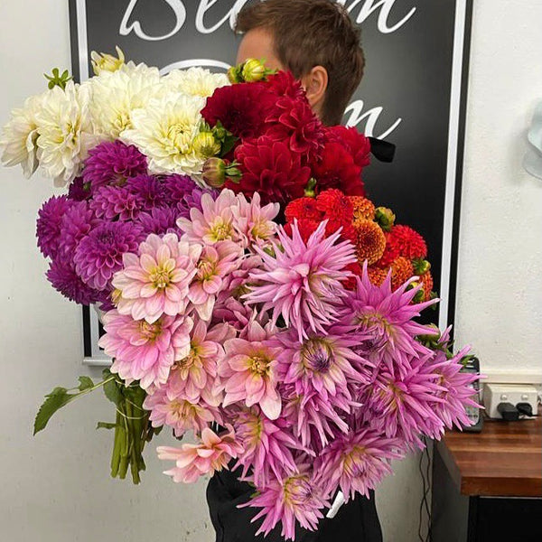 Dahlias Bunch Assorted