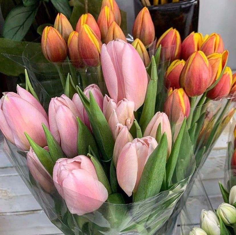 Fresh Cut Tulips - The Bloom Room 
