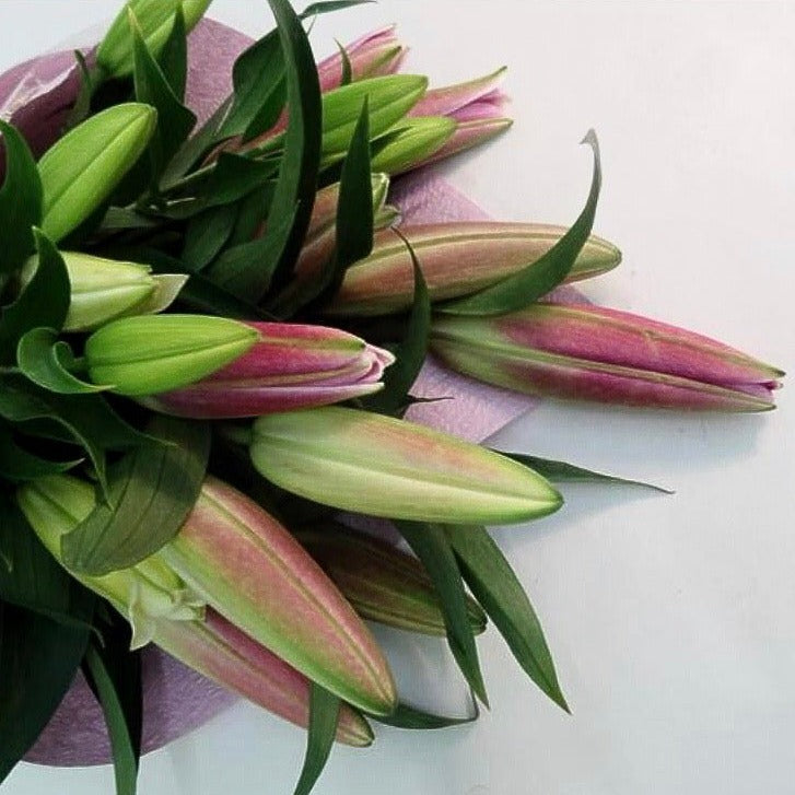 Oriental Lilies Assorted (1 Bunch) - The Bloom Room 