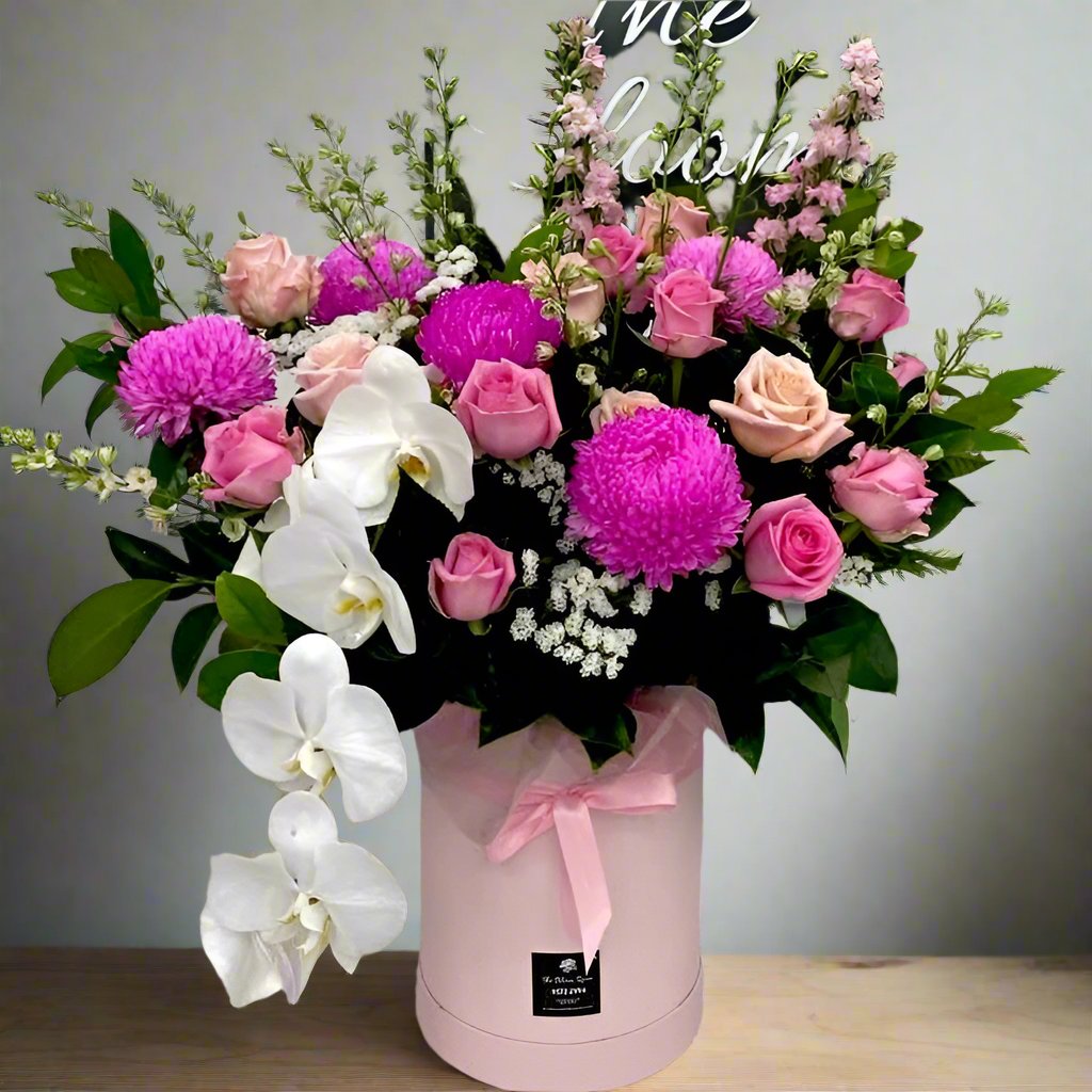 Orchid Obsession - The Bloom Room 