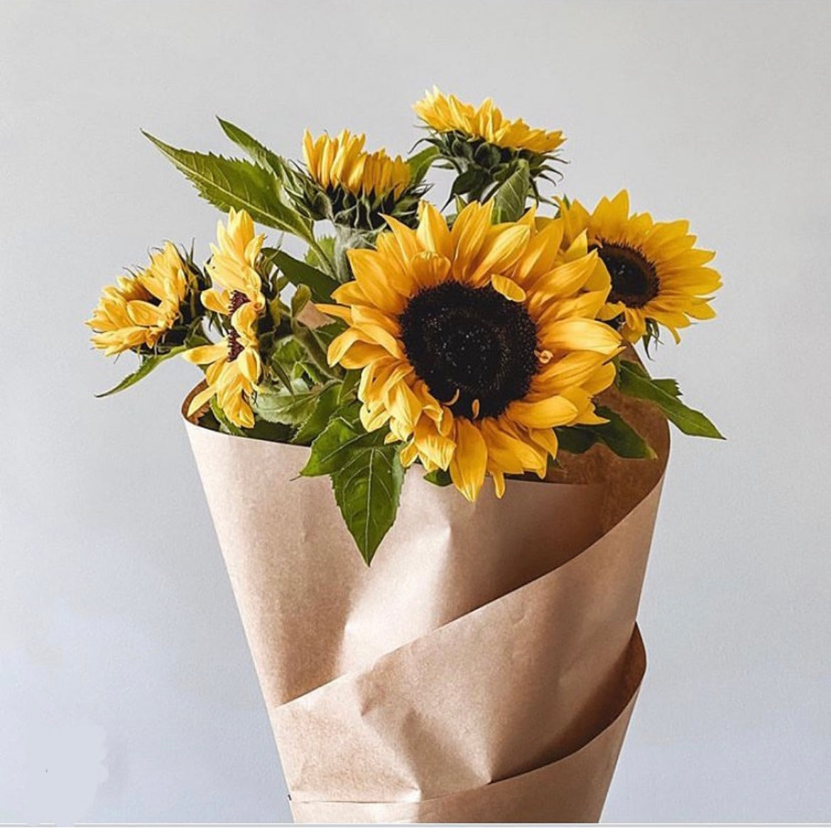 Sunny Sunflowers (1 Bunch) - The Bloom Room 