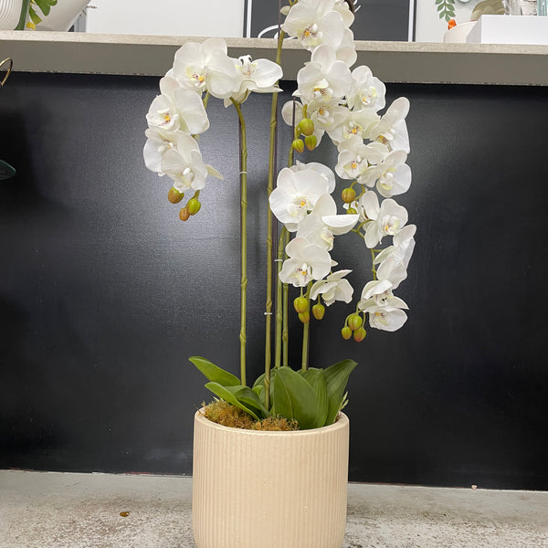 Artificial Orchid (Extra Large)